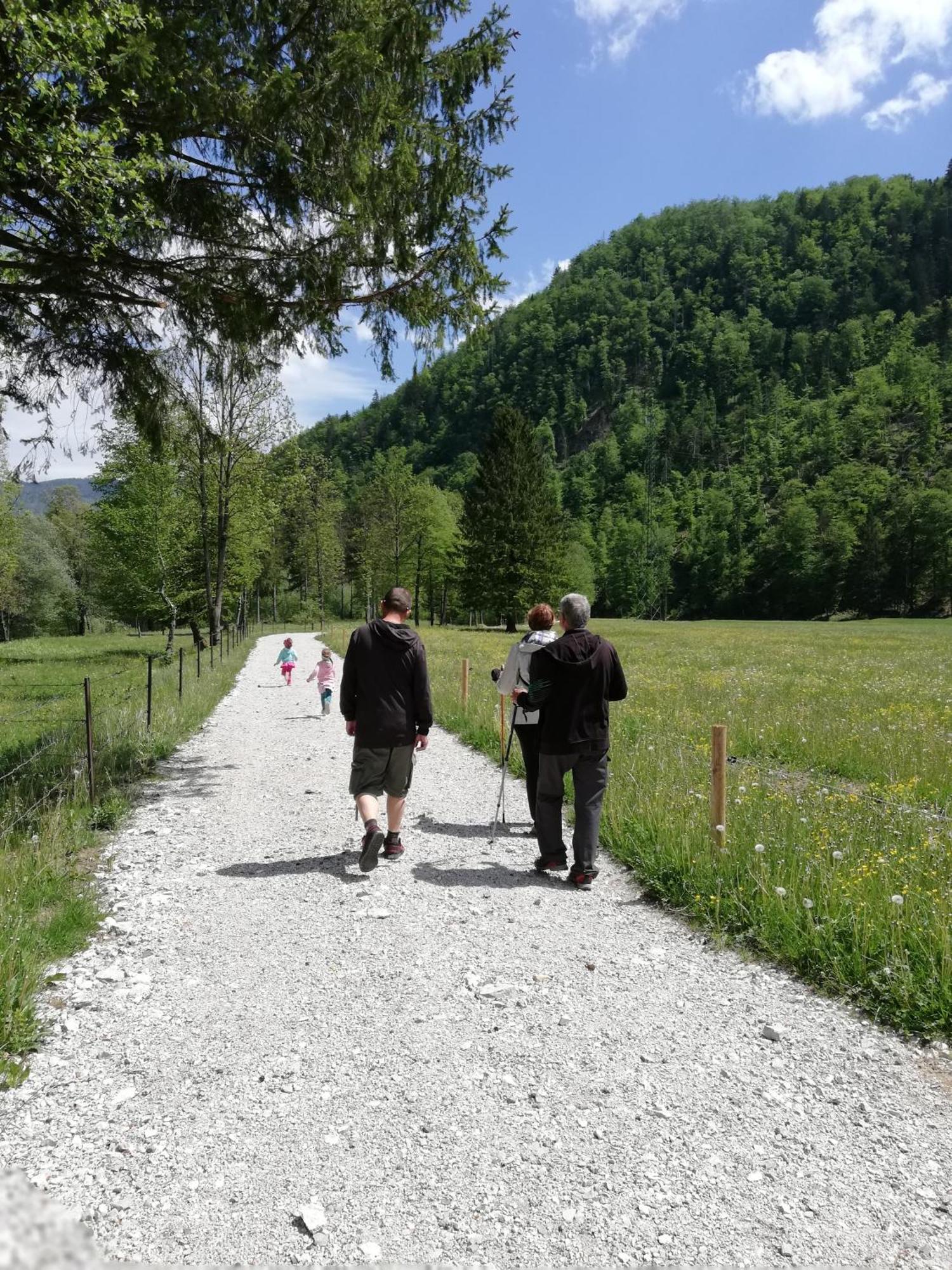 Apartma Vojvoda Bohinj Luaran gambar